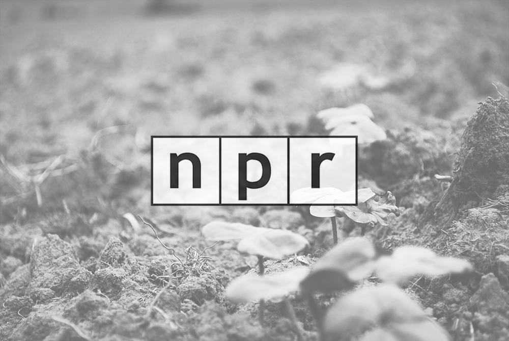 NPR, October 2014