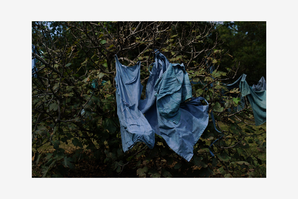 Scott Peacock and Indigo Dyeing, 2016
