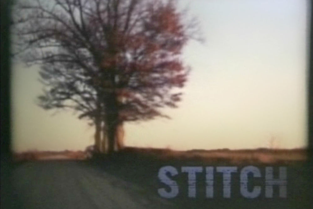 Stitch, 2000
